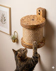 Lantern Scratcher