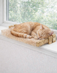 Window Sleeper
