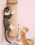 BARBER POLE WALL SCRATCHER