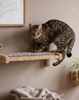 Wall Platform - Carpet