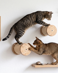 Wall Mounted Barrel Stepper