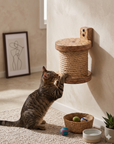 Lantern Scratcher