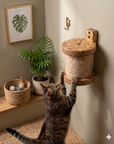 Lantern Scratcher