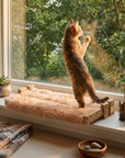 Window Sleeper