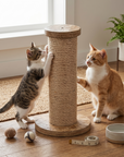Tower Scratcher