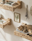 Shelf - White