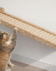 Wall Walker - Long